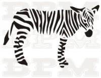 /album/ostatne-zvierata/ostatne-zvierata-3-jpg/